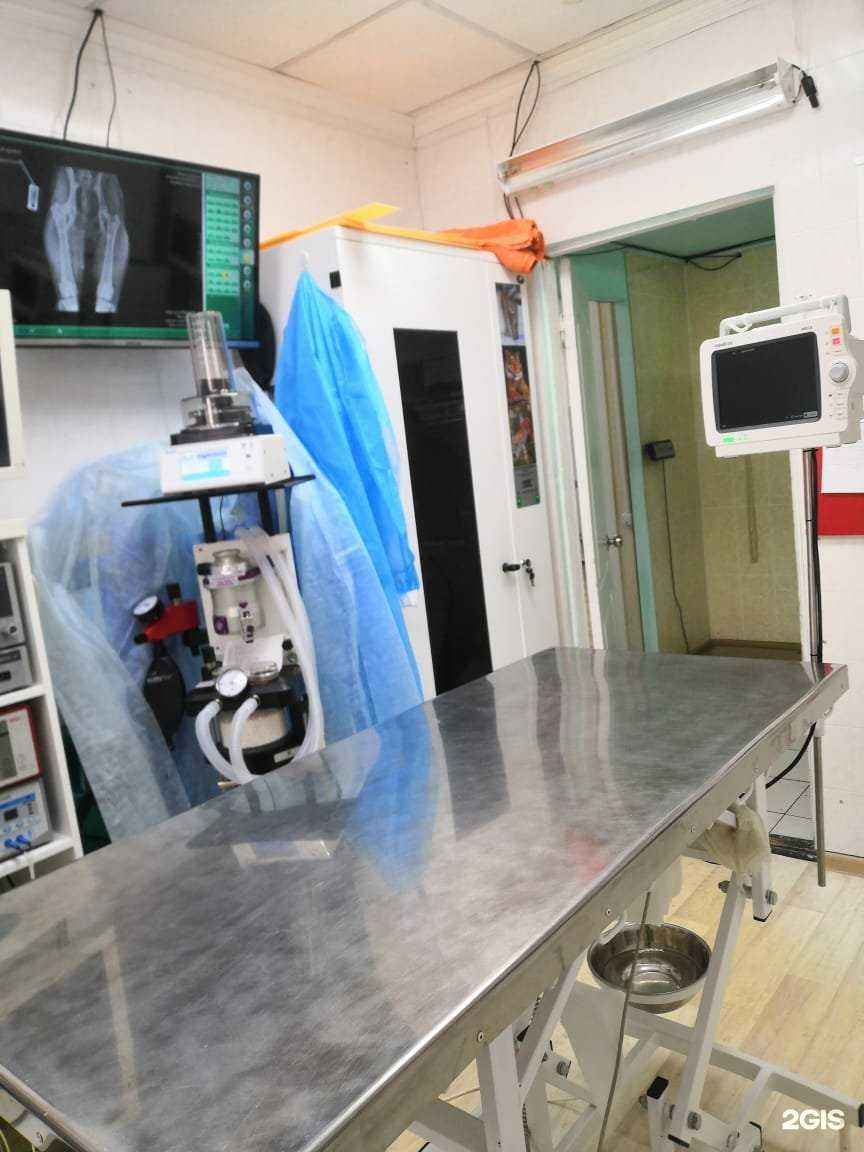 Отзывы на компанию ЭлитВет в Южно-Сахалинске c фото