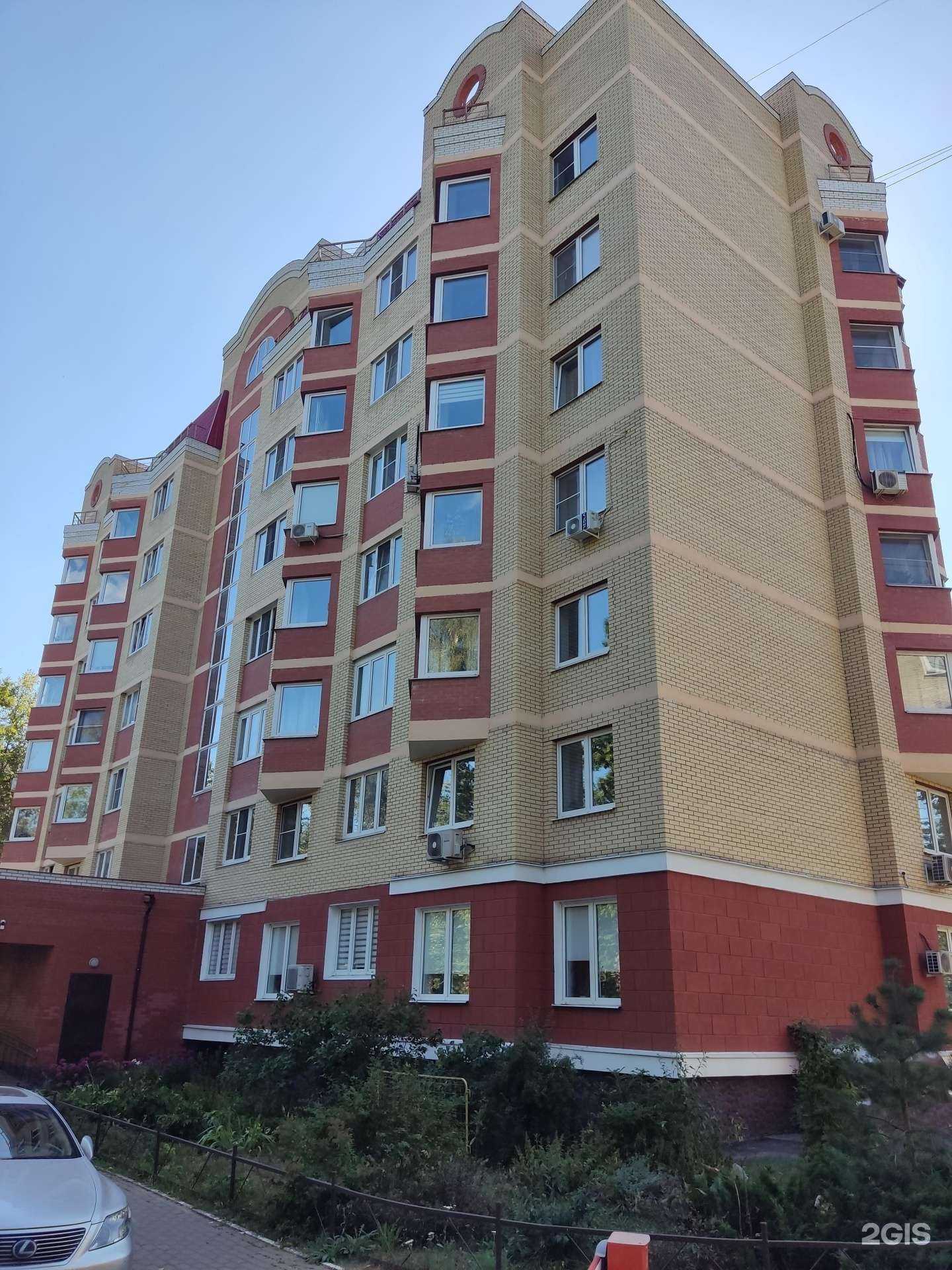 Отзывы на компанию Студия груминга в Электростали c фото