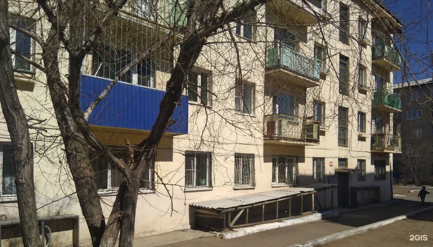 Отзывы на компанию Моё собачье дело в Чите c фото - фотография 2 из 2