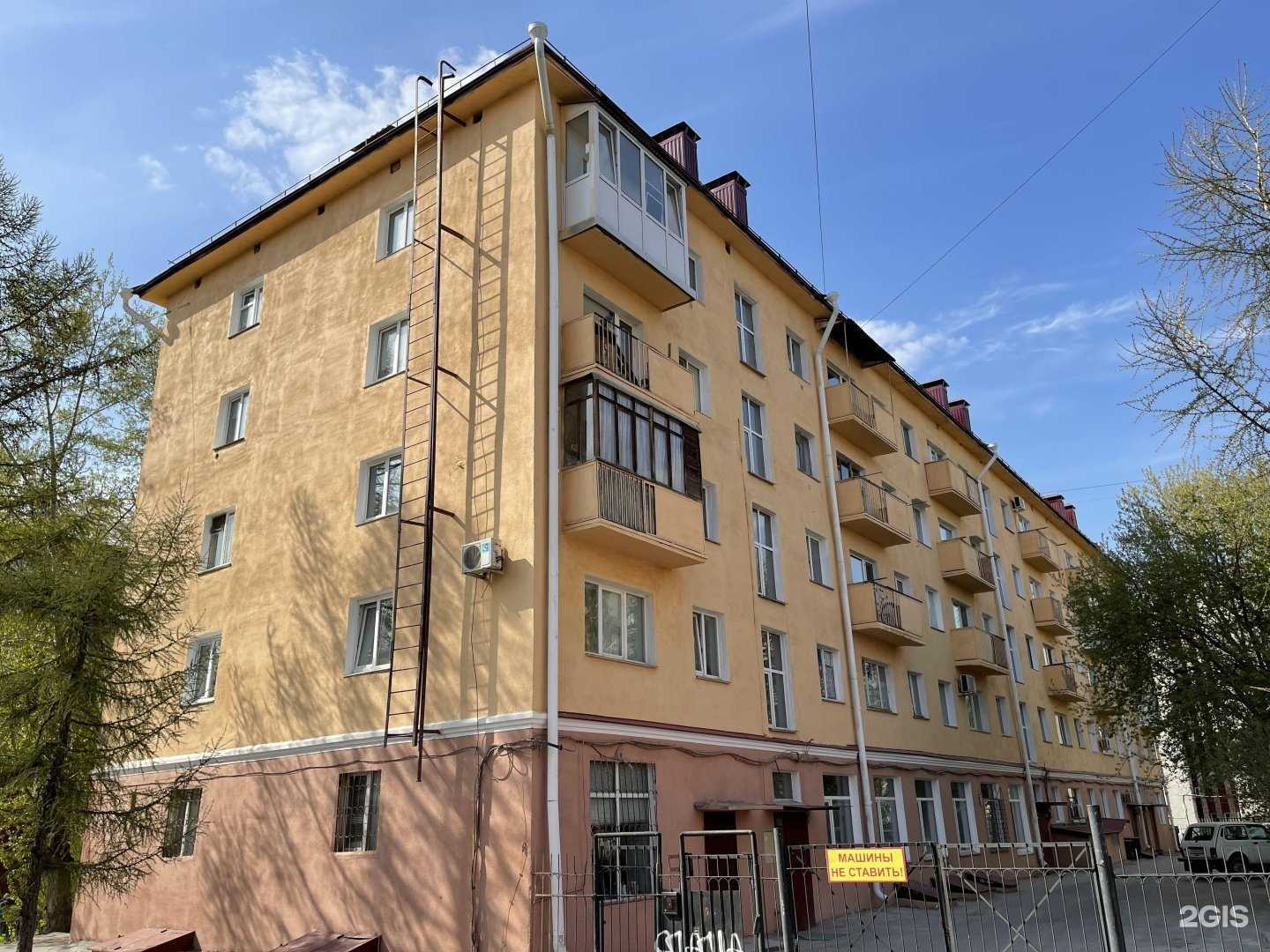 Отзывы на компанию Zooroom в Омске c фото - фотография 2 из 2