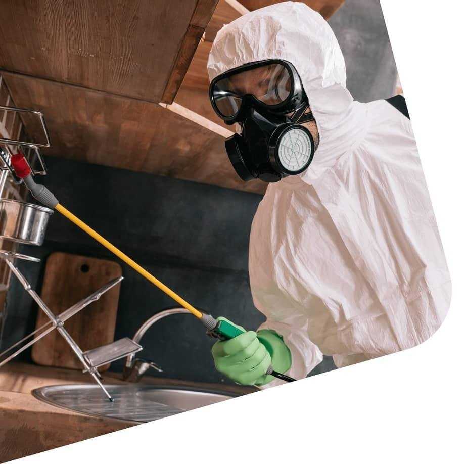 Отзывы на компанию Total-x в г. Владивосток c фото