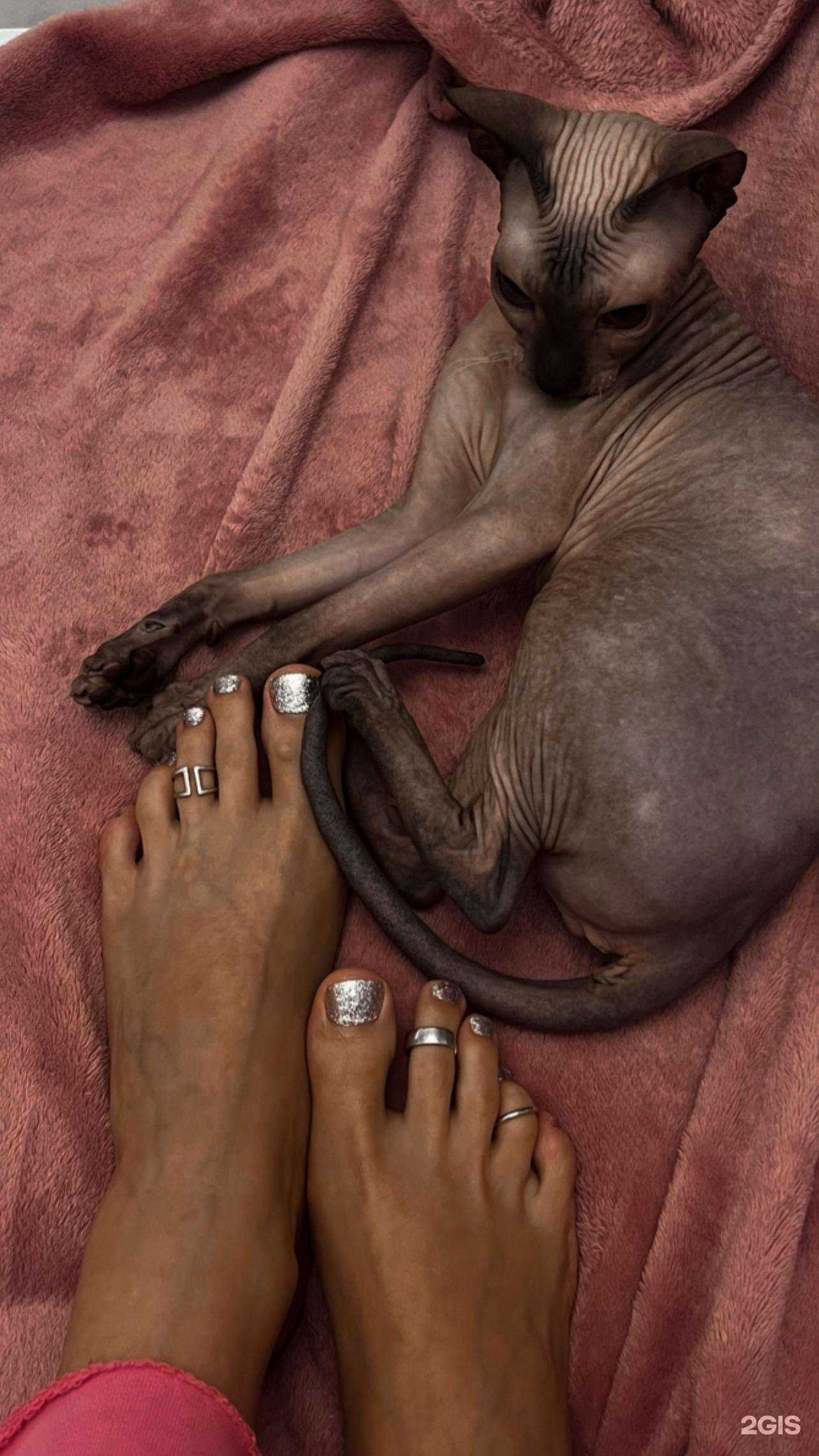 Отзывы на компанию KlimiNails в Екатеринбурге c фото