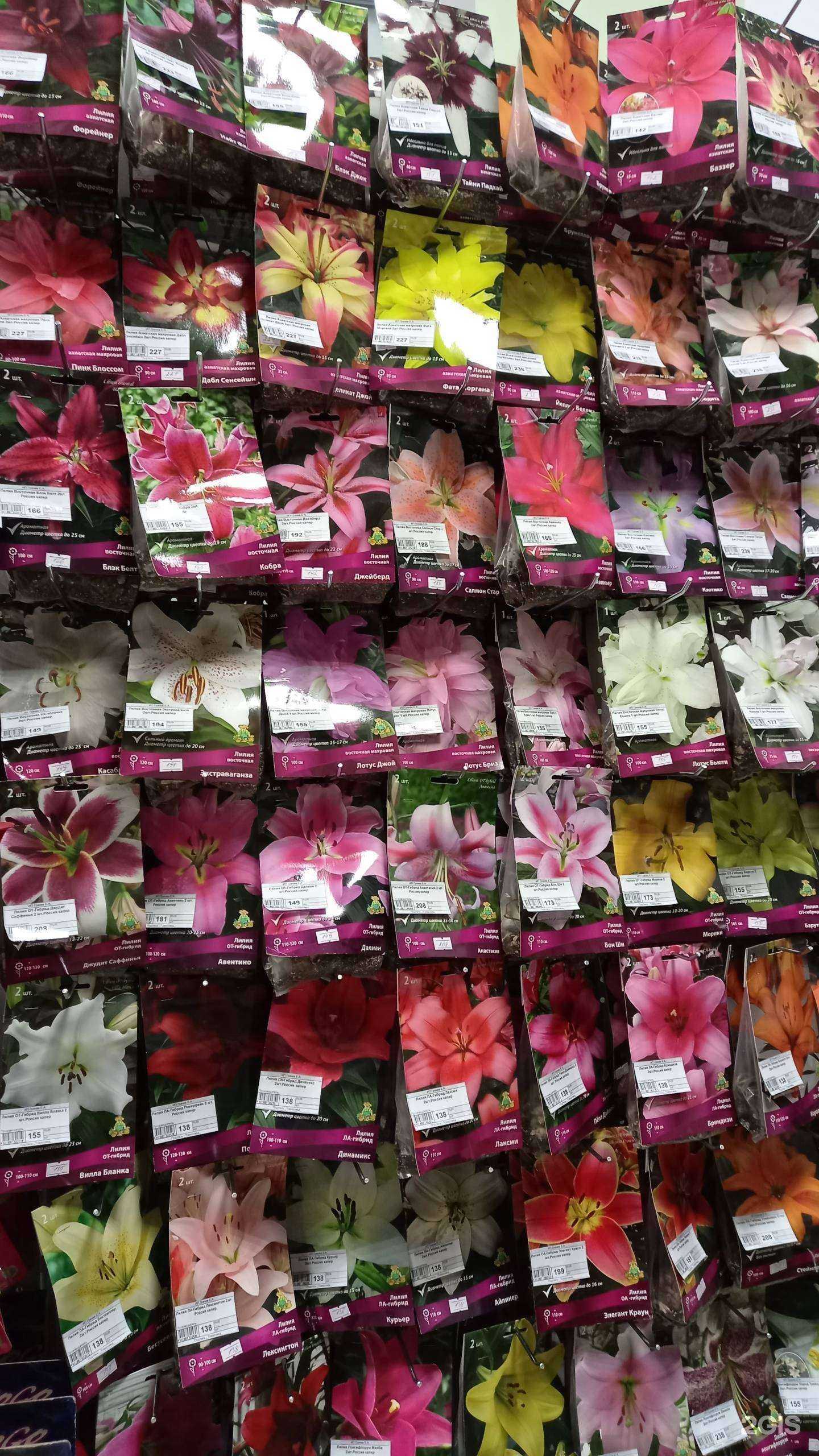 Отзывы на компанию Северин в Ангарске c фото