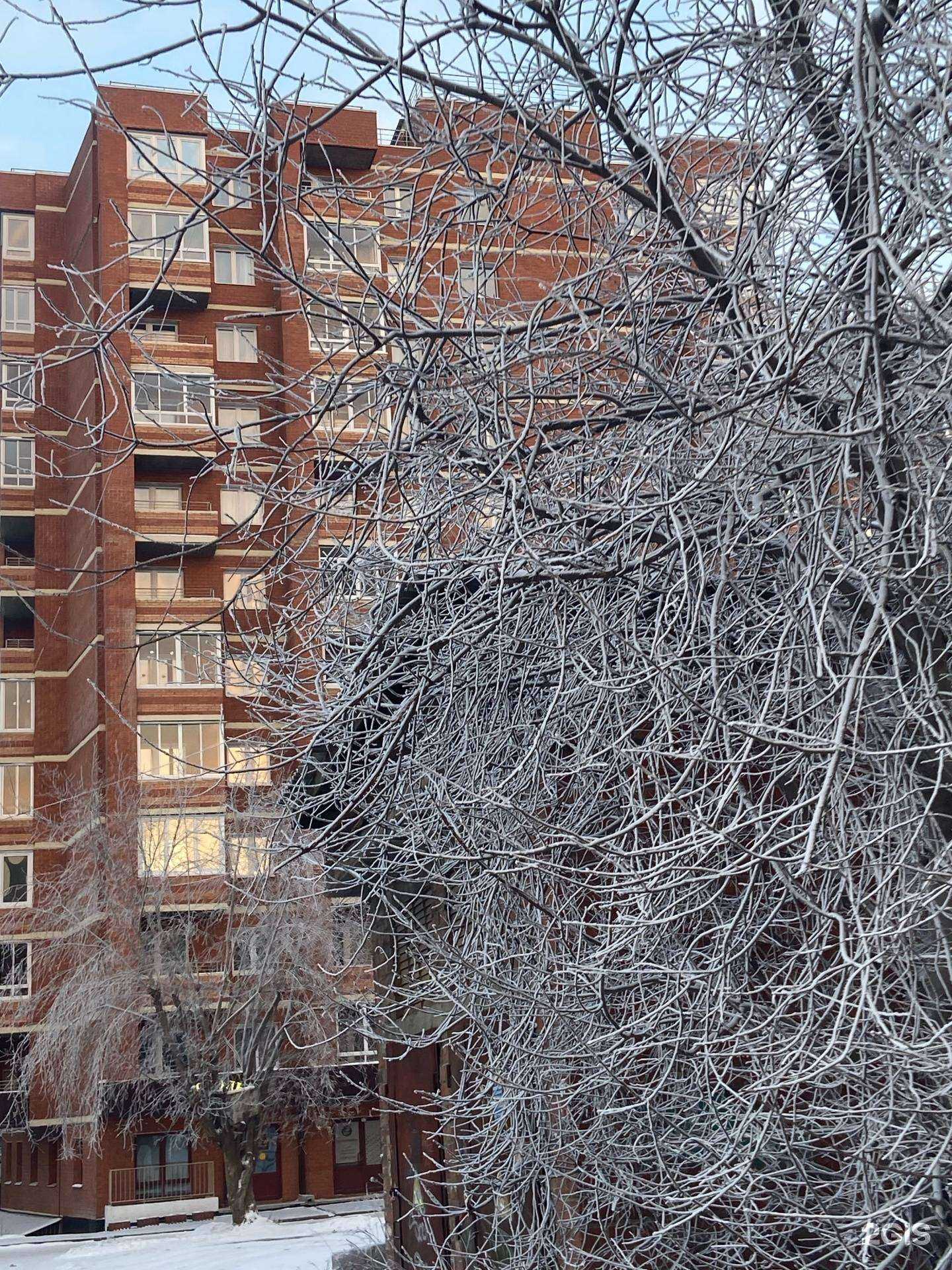 Отзывы на компанию Бизнес профи в Иркутске c фото - фотография 2 из 2