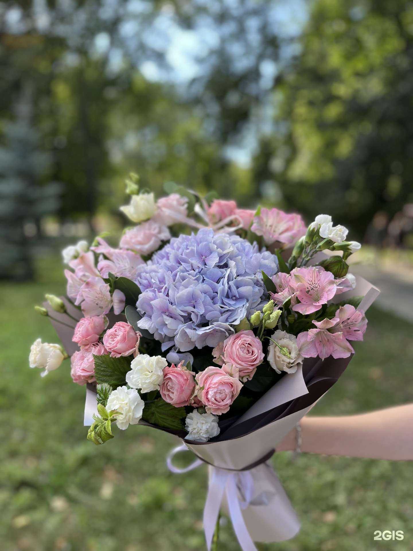 Отзывы на компанию Лето в г. Йошкар-Ола c фото