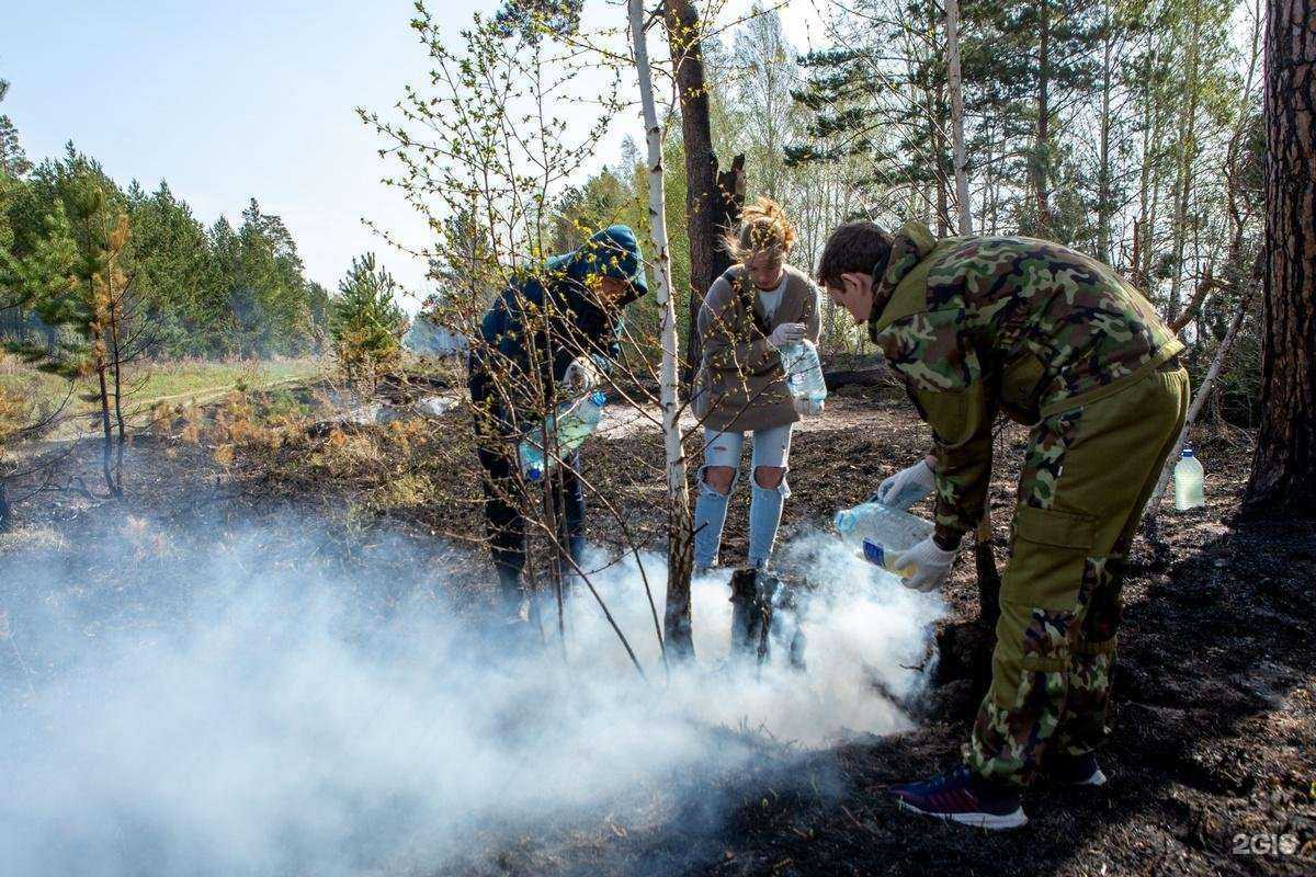 Отзывы на компанию Максим в Сухое Логе c фото