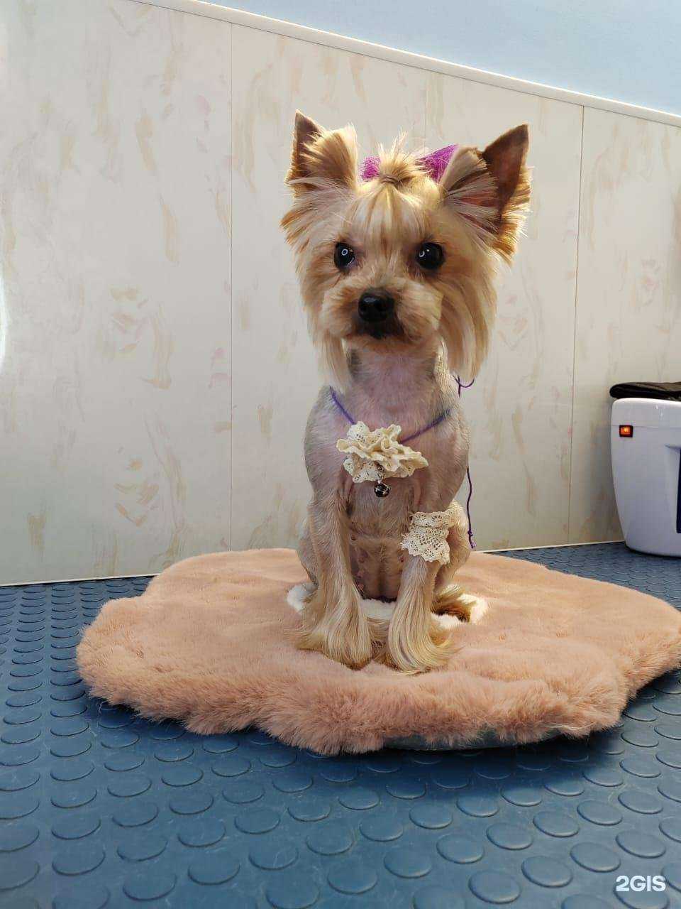 Отзывы на компанию Плюш в г. Краснодар c фото