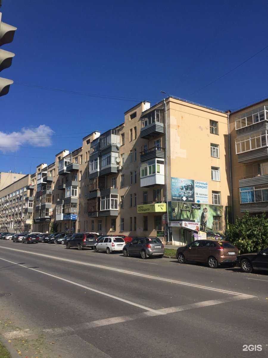 Отзывы на компанию PARADOGs в Екатеринбурге c фото - фотография 2 из 2