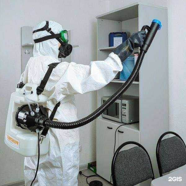 Отзывы на компанию Выездная служба дезинсекции в г. Краснодар c фото