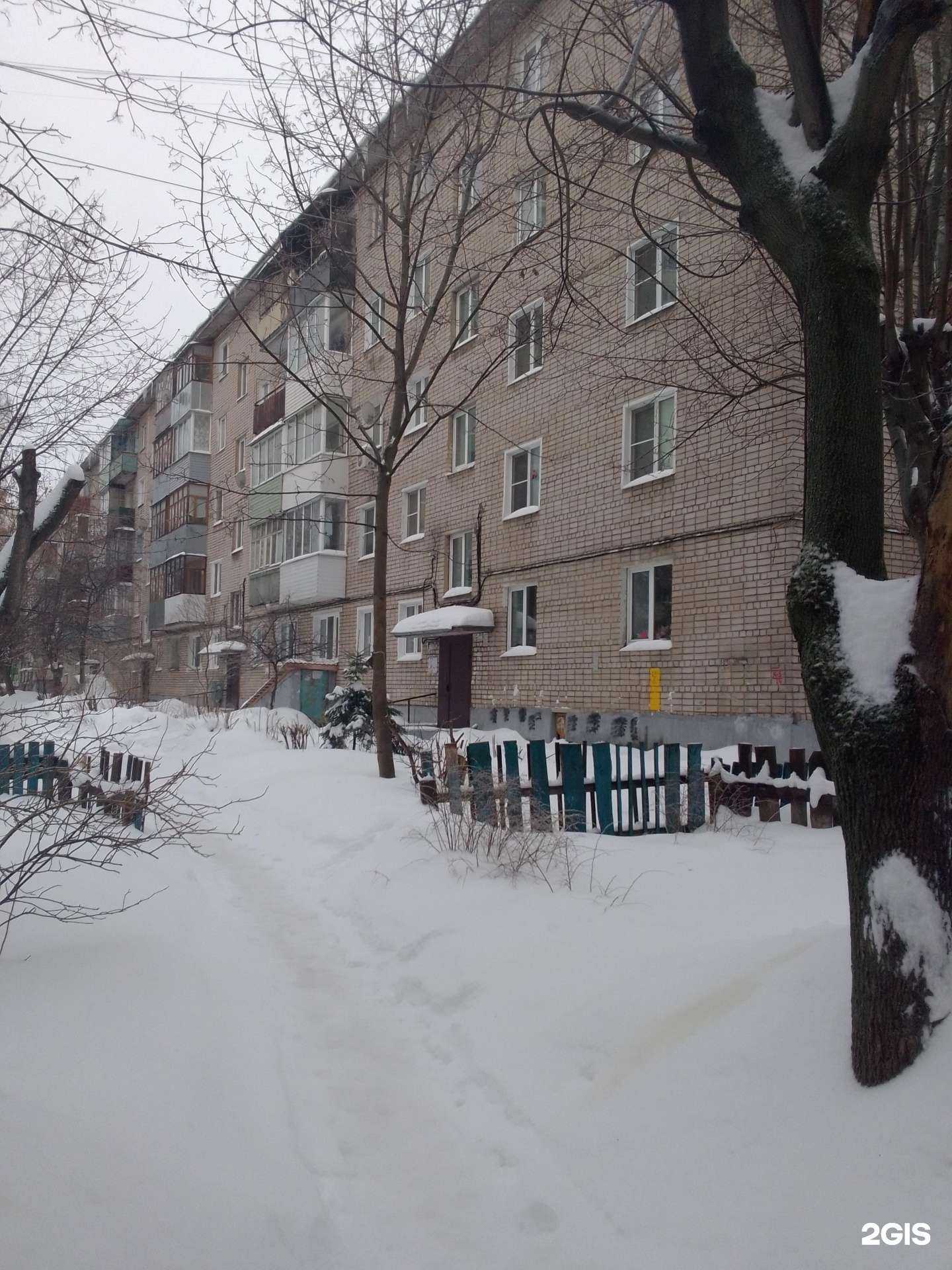 Отзывы на компанию Планета цветов в Иванове c фото - фотография 2 из 2