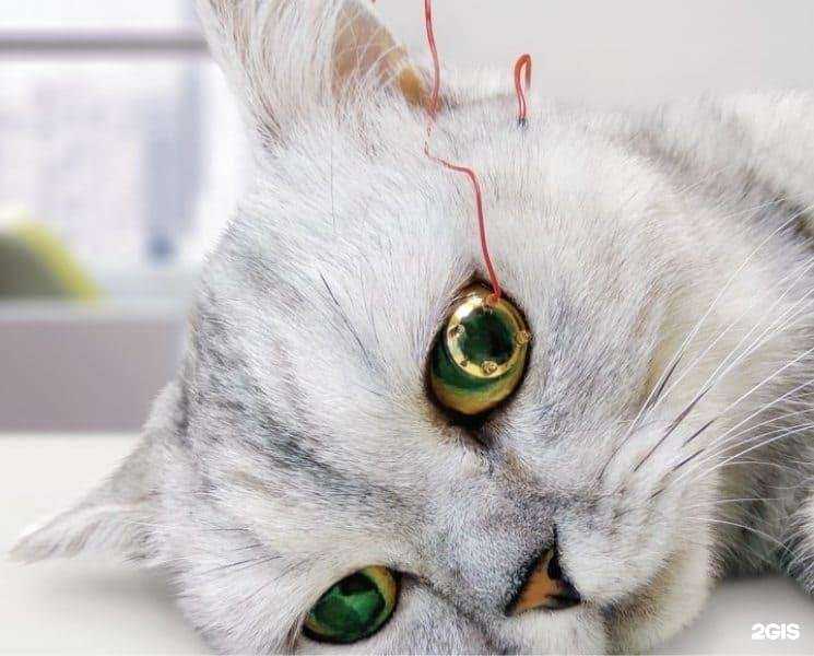 Отзывы на компанию Медикатех в Нижнем Новгороде c фото