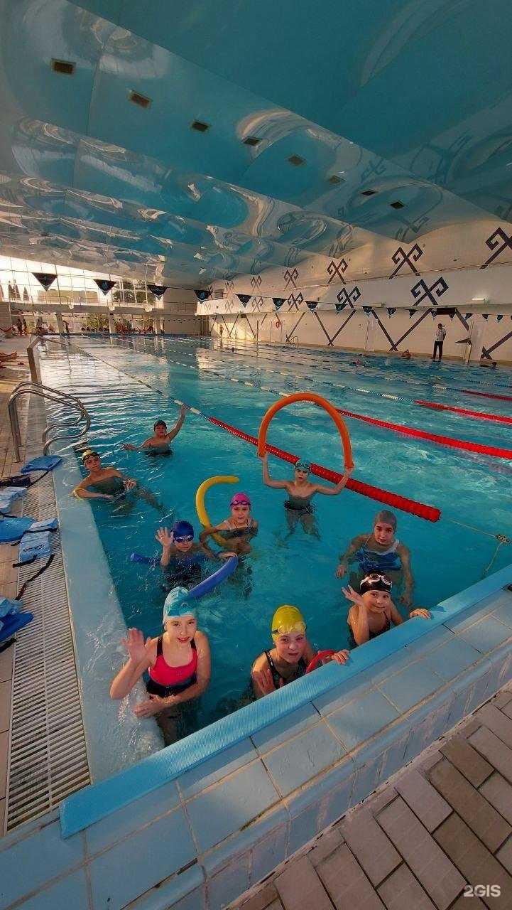 Отзывы на компанию Дельфин в Сочи c фото