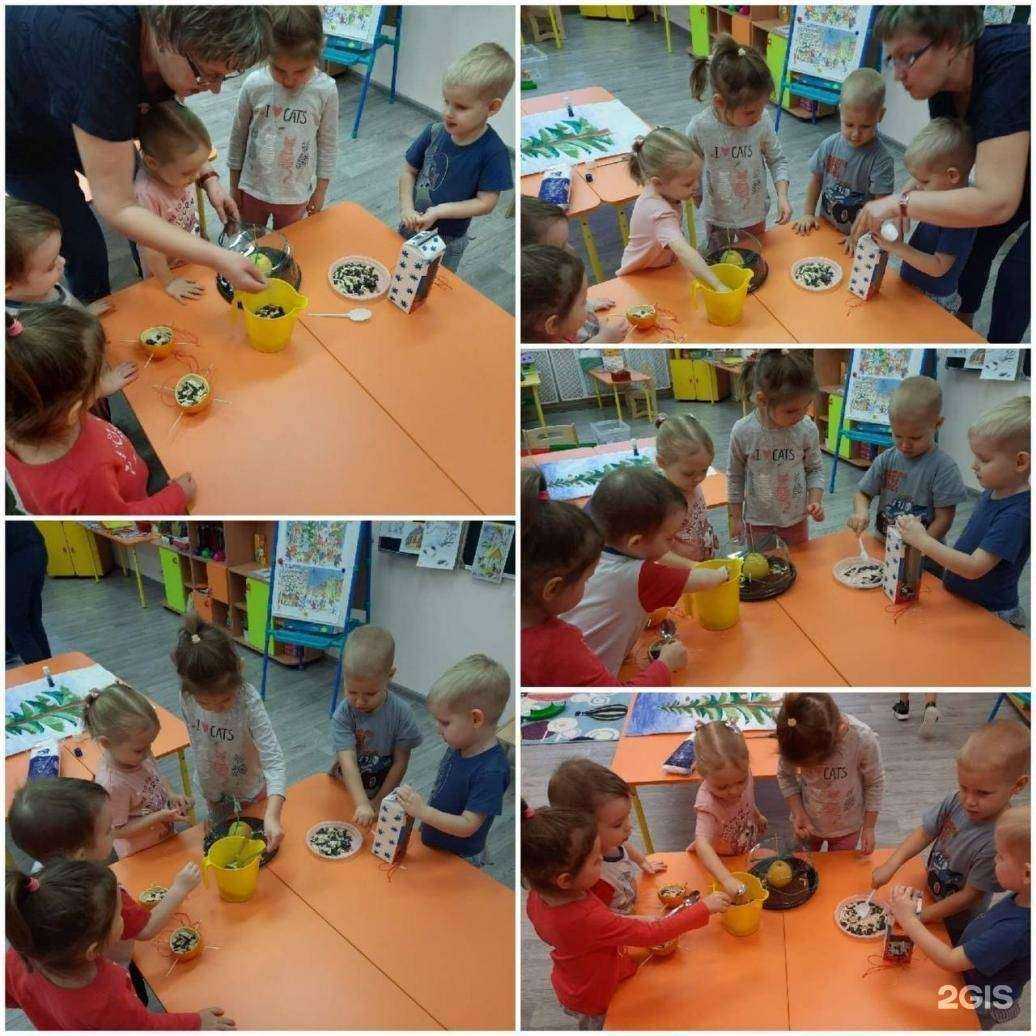 Отзывы на компанию Цветик-семицветик в Ярославле c фото