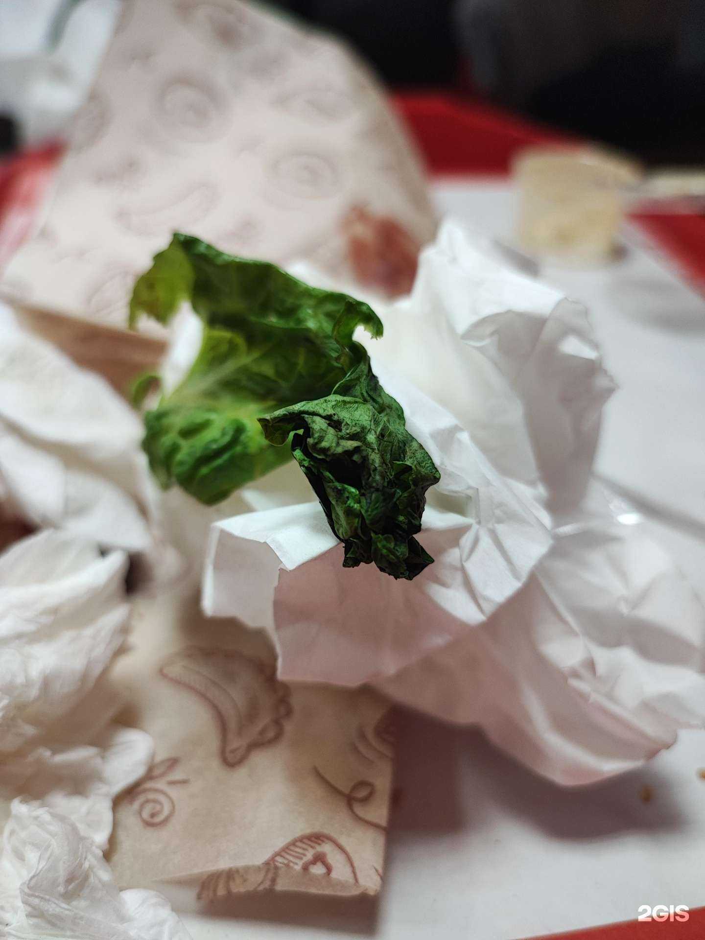 Отзывы на компанию Бургерс в Абакане c фото