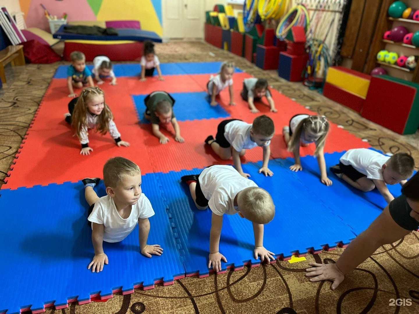 Отзывы на компанию АлексСпорт в г. Пенза c фото