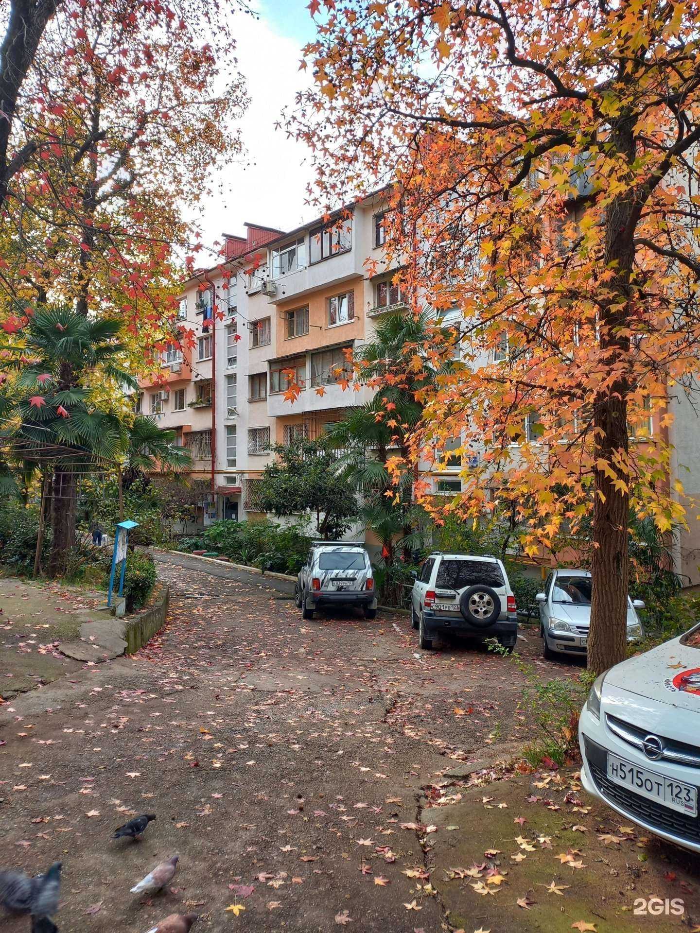 Отзывы на компанию Рудизайн в Сочи c фото - фотография 2 из 2