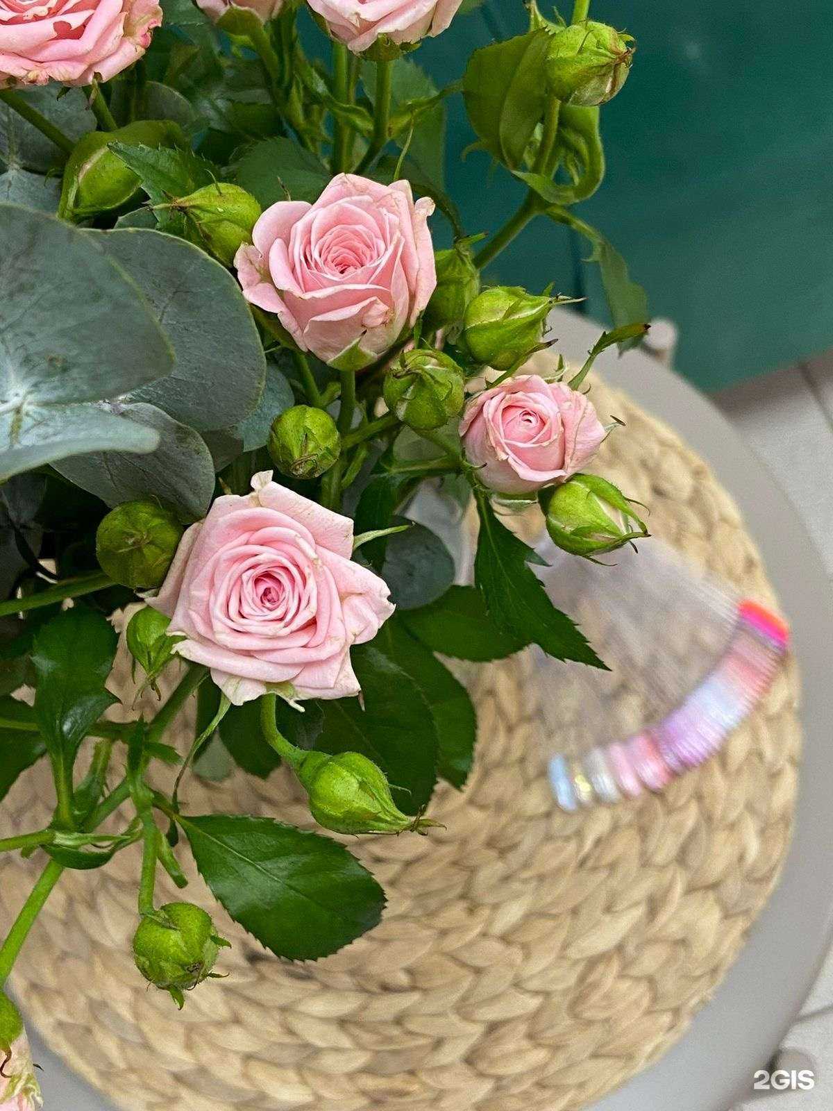 Отзывы на компанию My space в г. Набережные Челны c фото