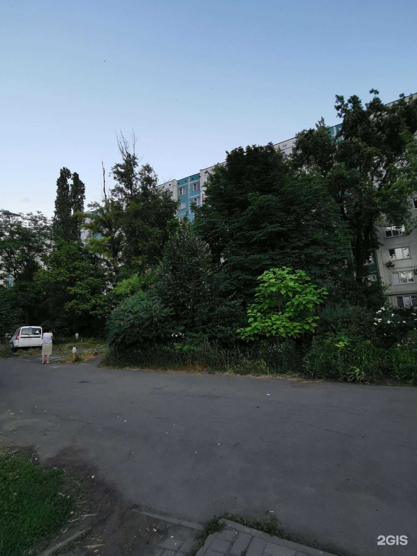 Отзывы на компанию Осака в Ростове-на-Дону c фото - фотография 2 из 2