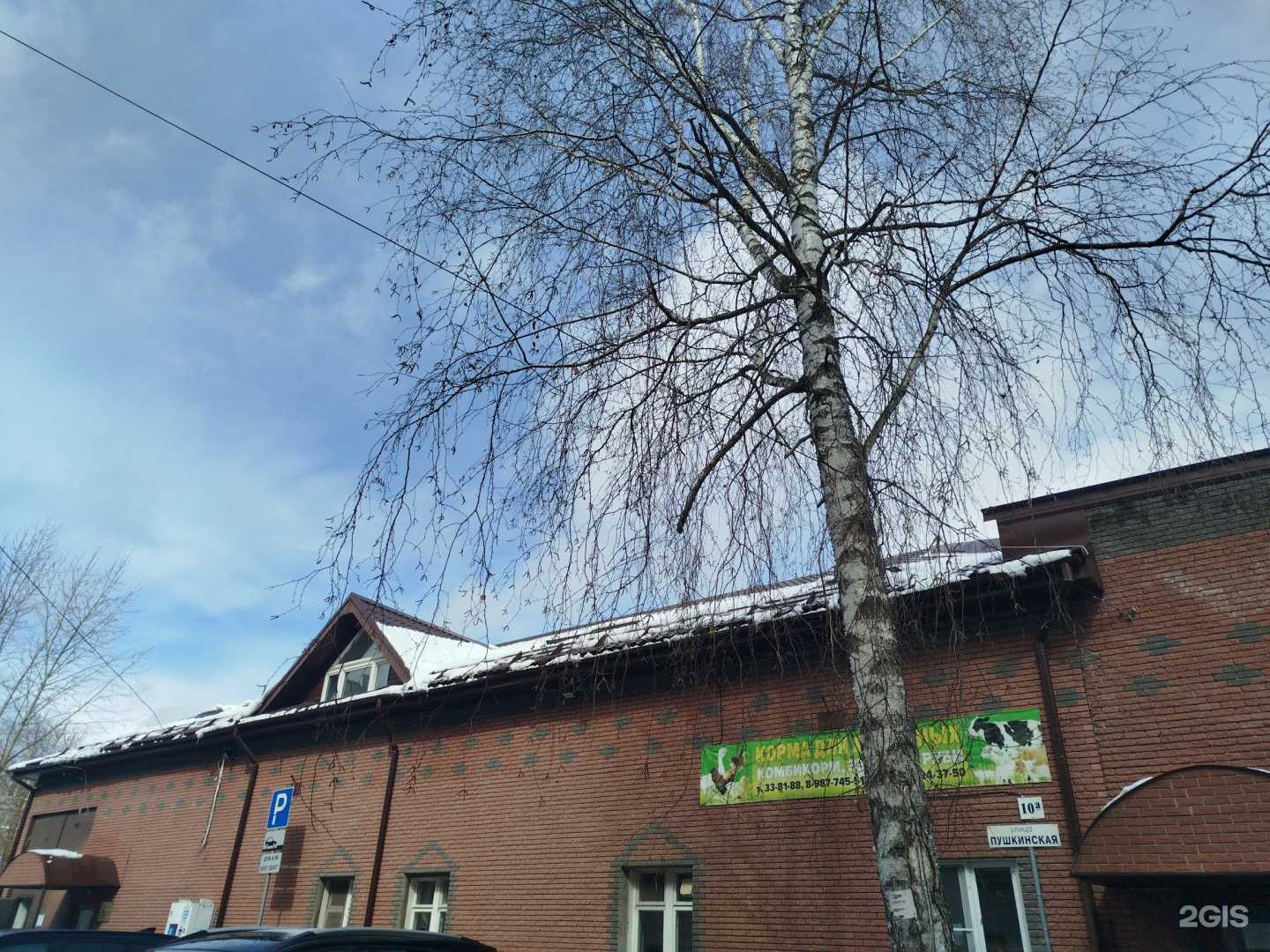 Отзывы на компанию Дзержинские охранные системы в Дзержинске c фото - фотография 2 из 2