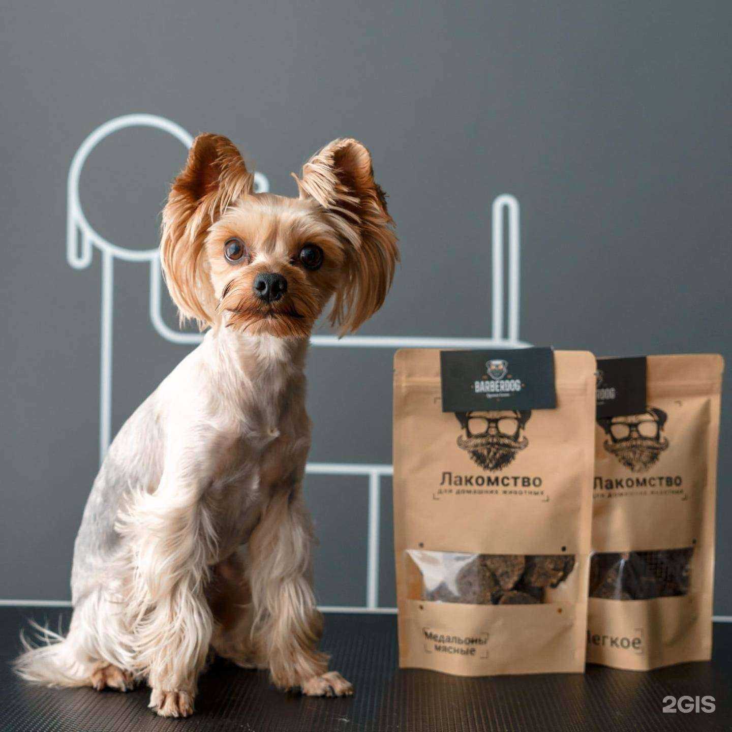 Отзывы на компанию Barberdog в Владимире c фото