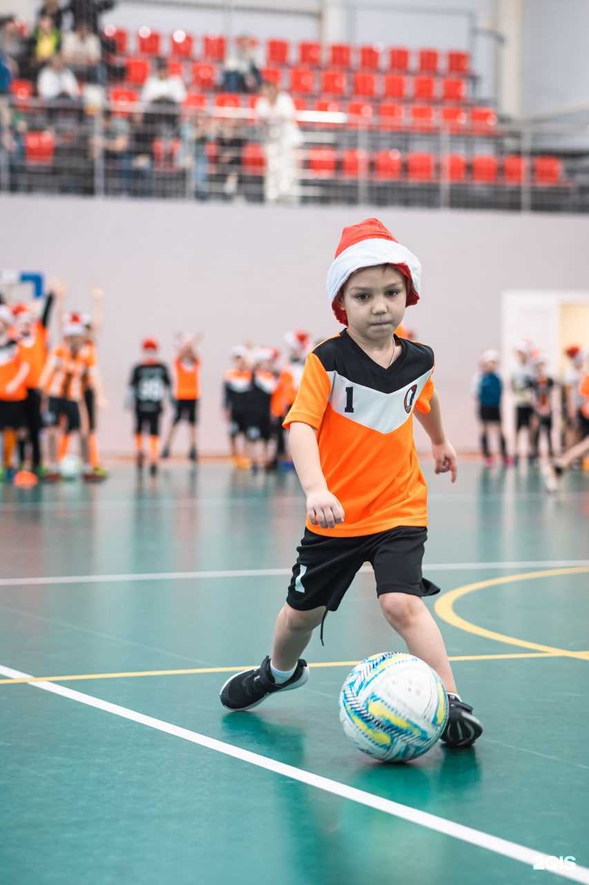 Отзывы на компанию Триумф в Ростове-на-Дону c фото