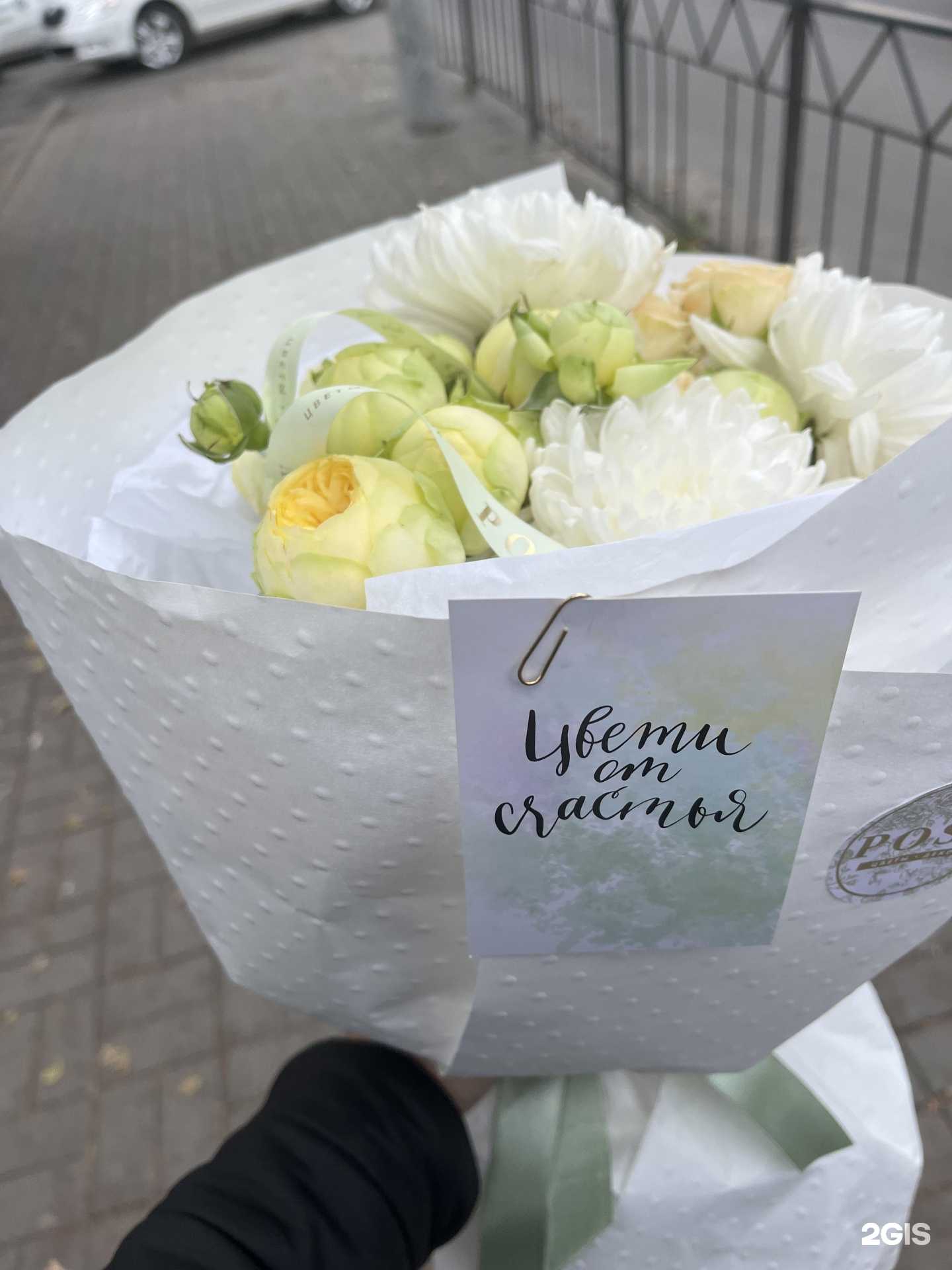 Отзывы на компанию Posy в Ростове-на-Дону c фото