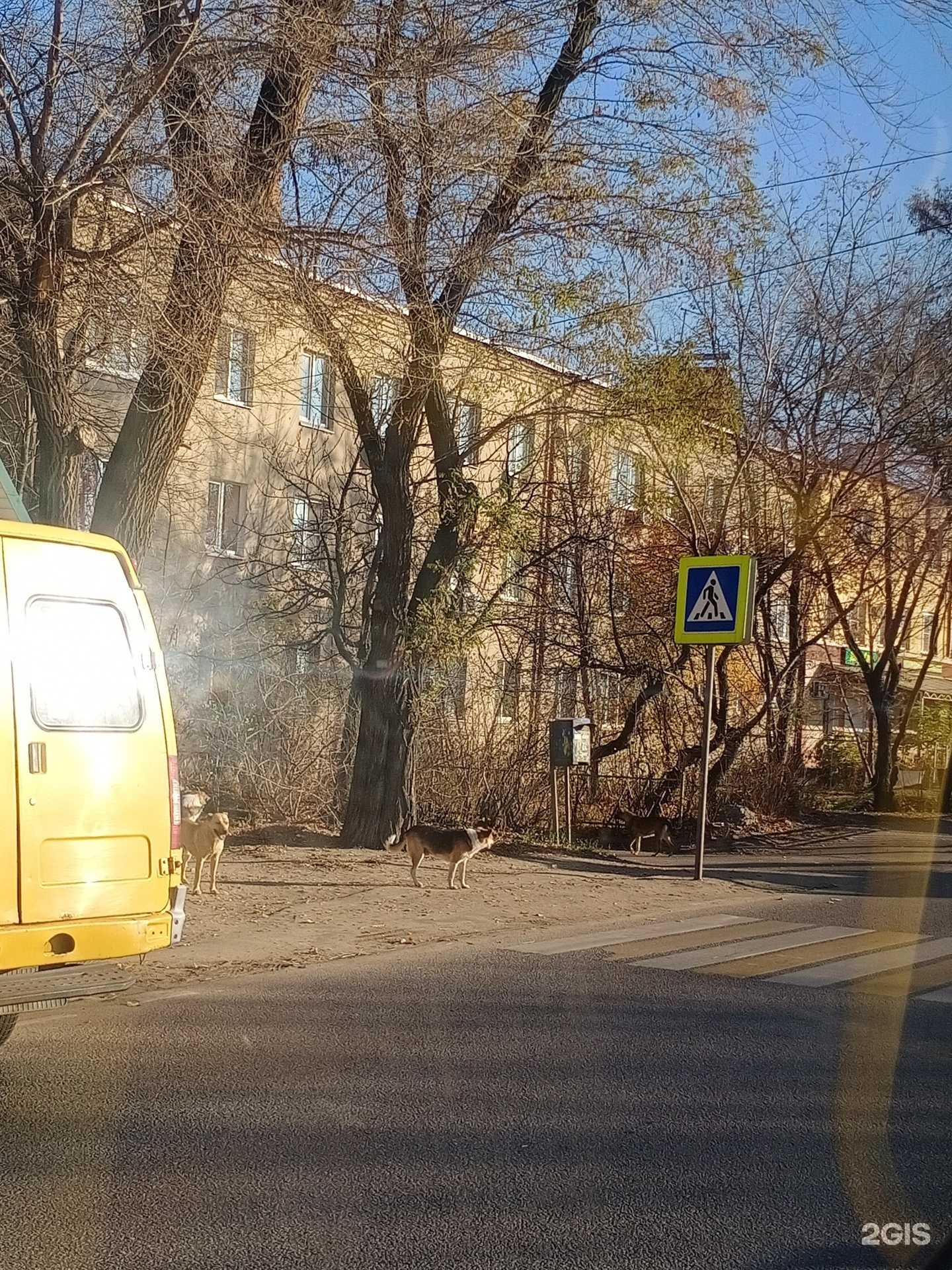 Отзывы на компанию Социальная Аптека в г. Воронеж c фото