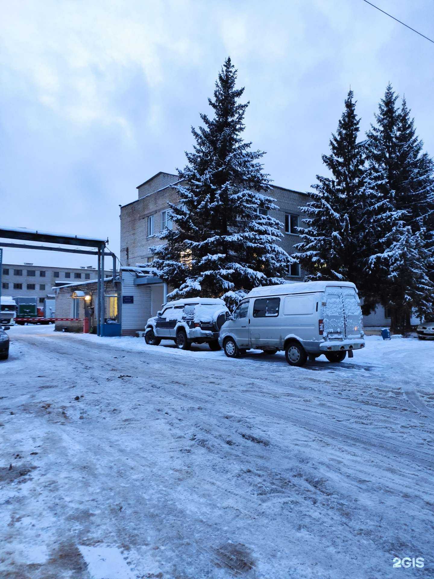 Отзывы на компанию Штукатур-52 в Боре c фото