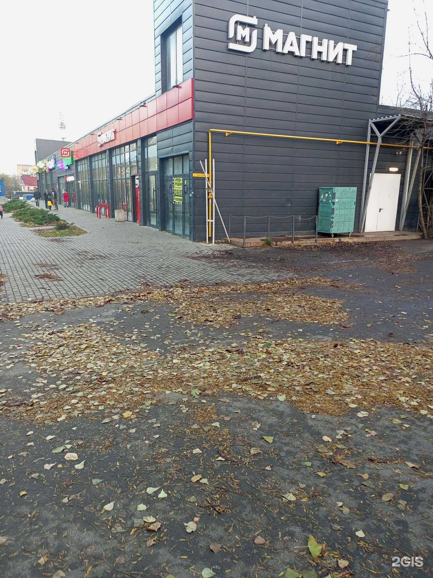 Отзывы на компанию Wasabi в Ростове-на-Дону c фото - фотография 2 из 2