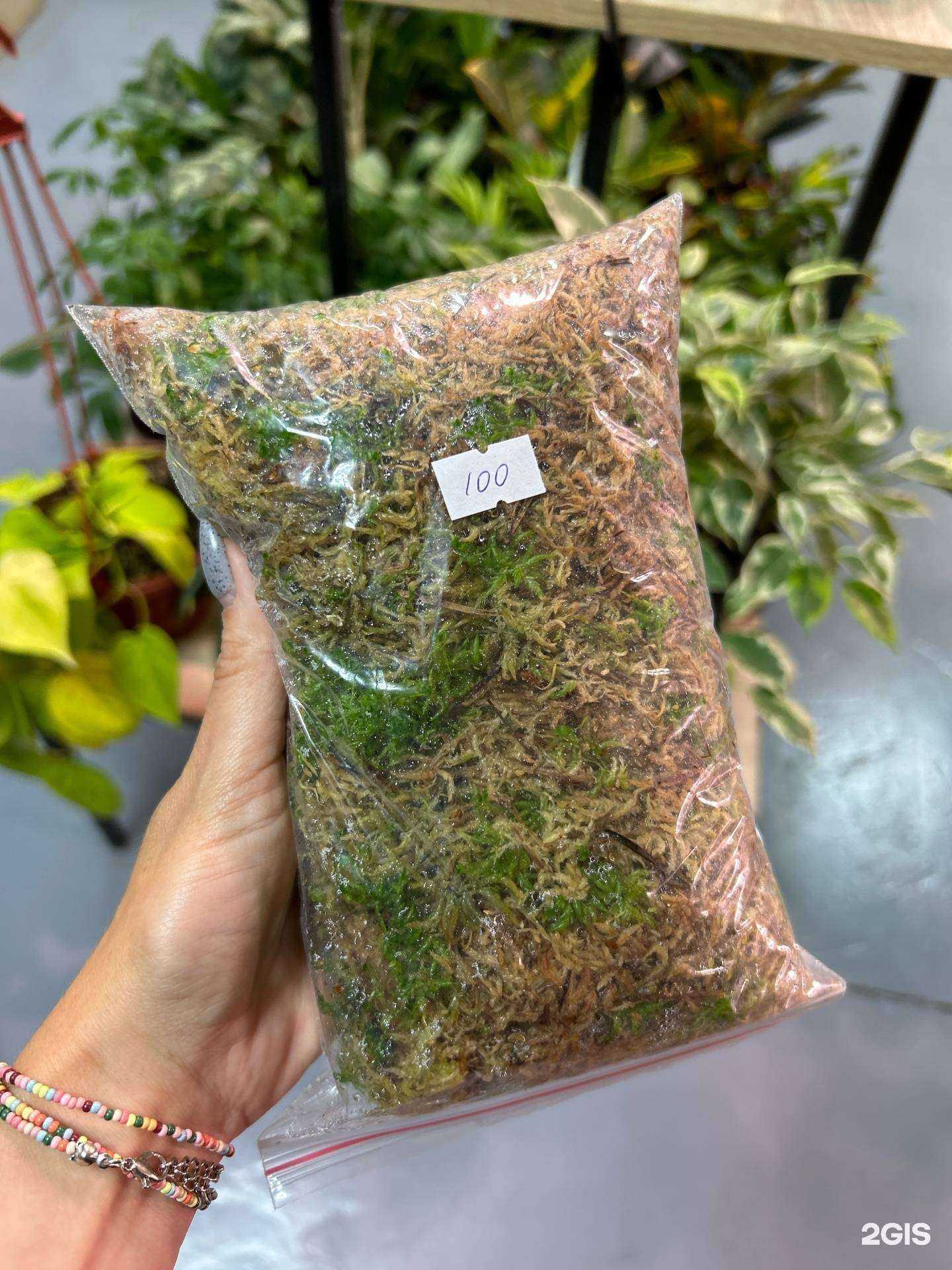 Отзывы на компанию Агар в Челябинске c фото - фотография 2 из 2