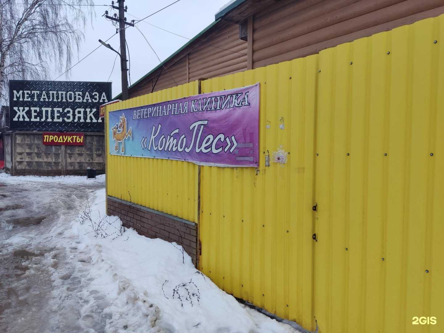 Отзывы на компанию КотоПес в г. Киржач c фото