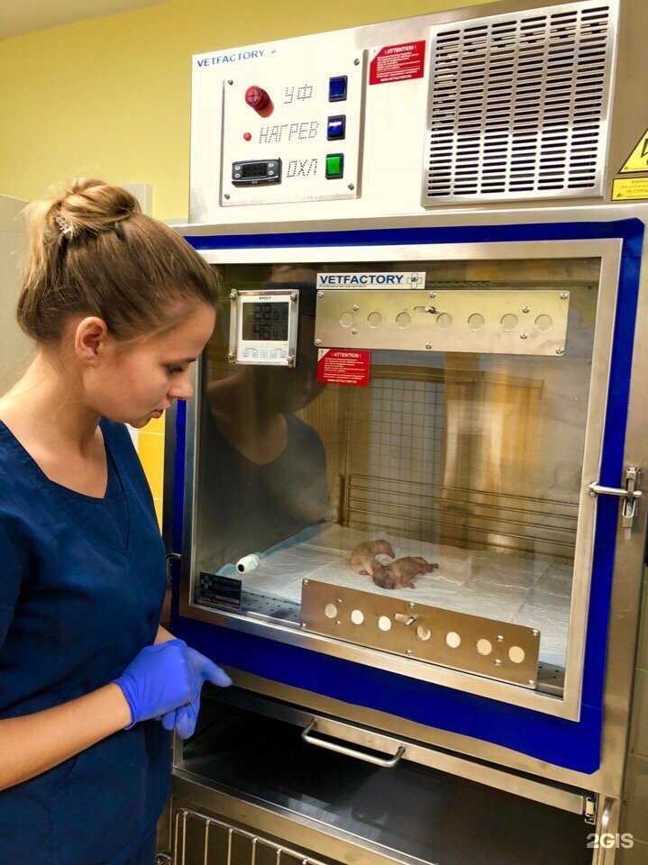 Отзывы на компанию Vetera в Новомосковске c фото