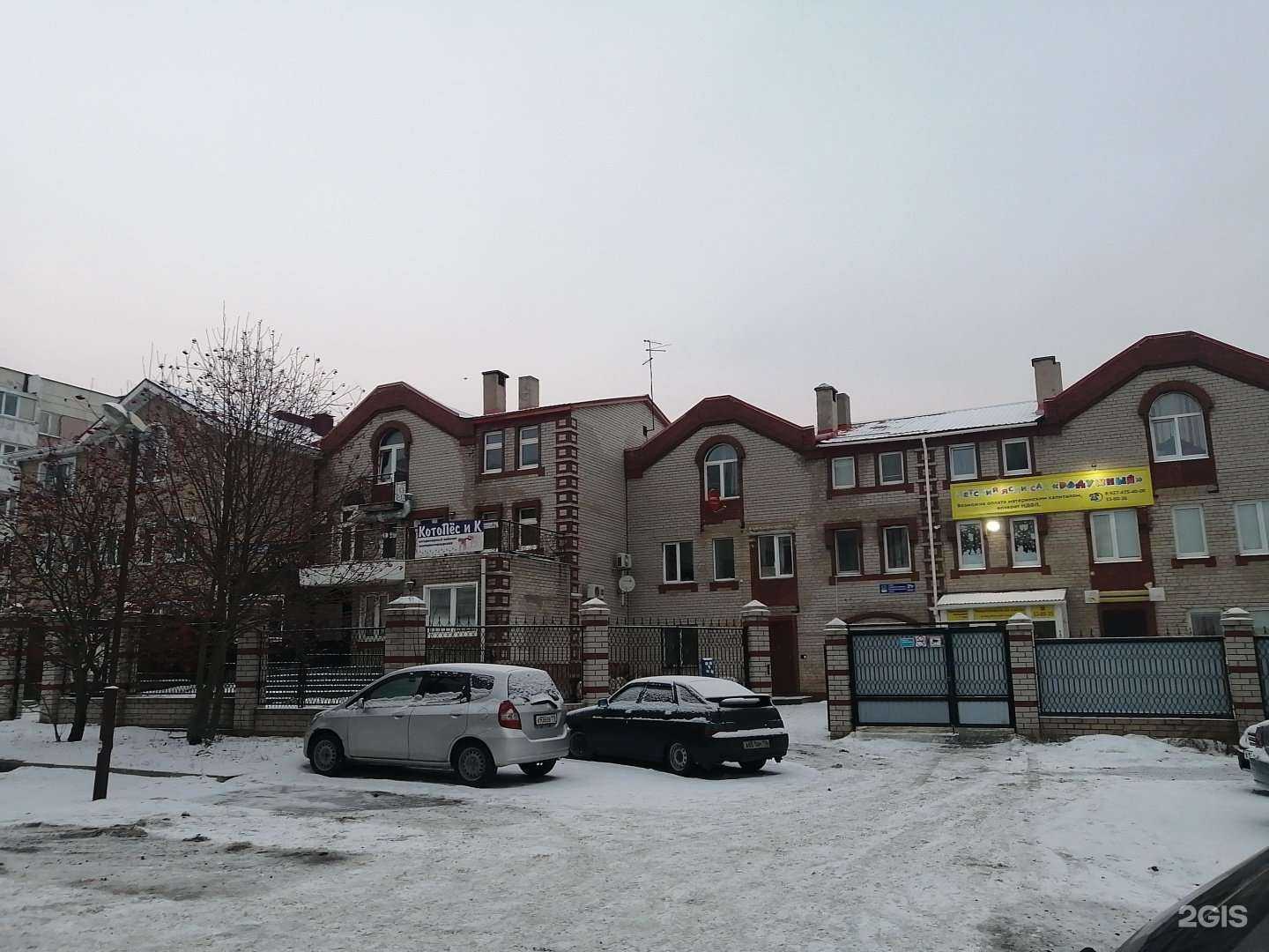 Отзывы на компанию Котопёс и К в Набережных Челнах c фото - фотография 2 из 2