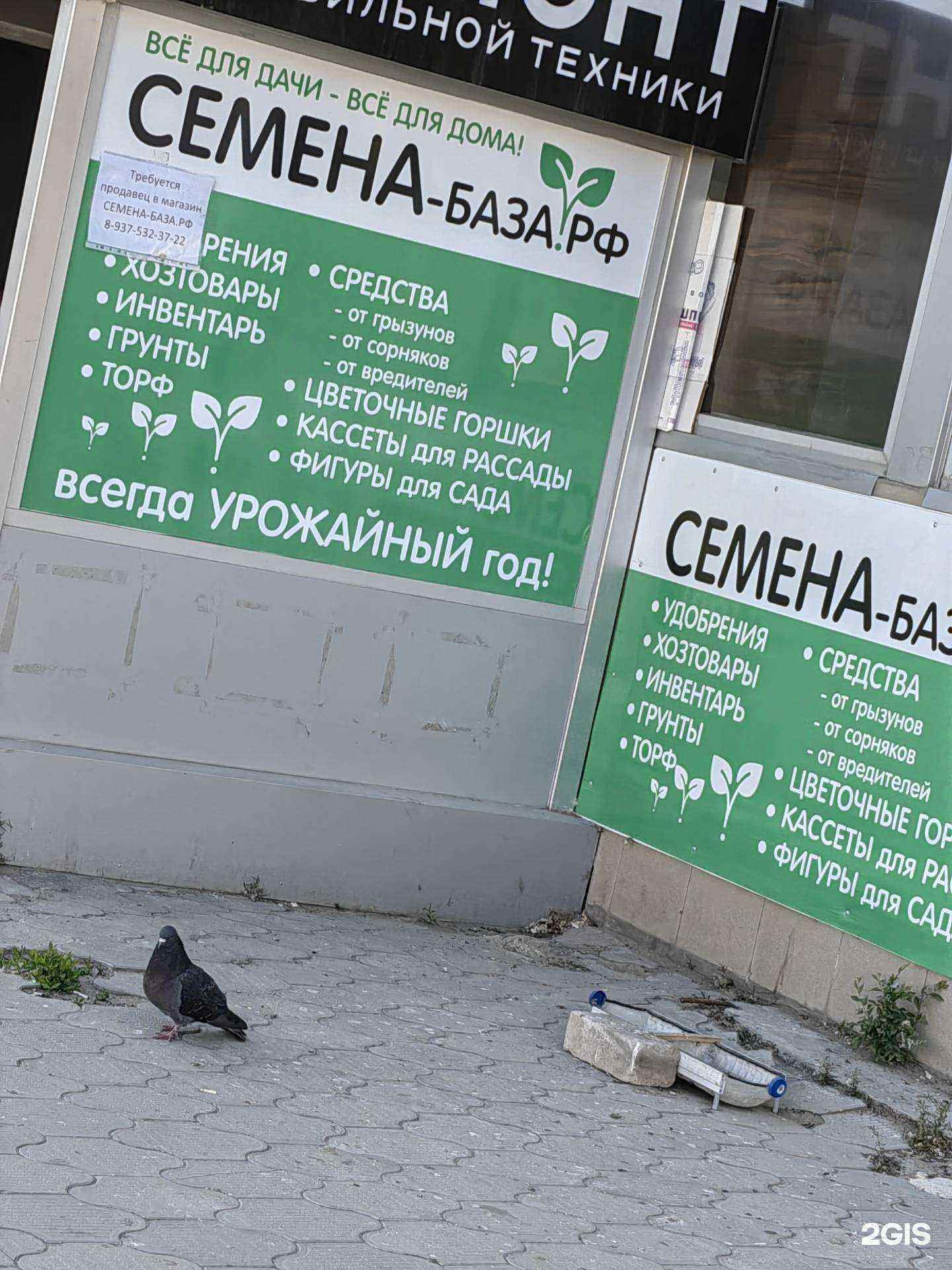 Отзывы на компанию Семена-база.рф в Волгограде c фото