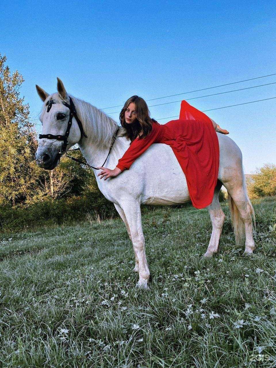 Отзывы на компанию SakhHorse в г. Южно-Сахалинск c фото