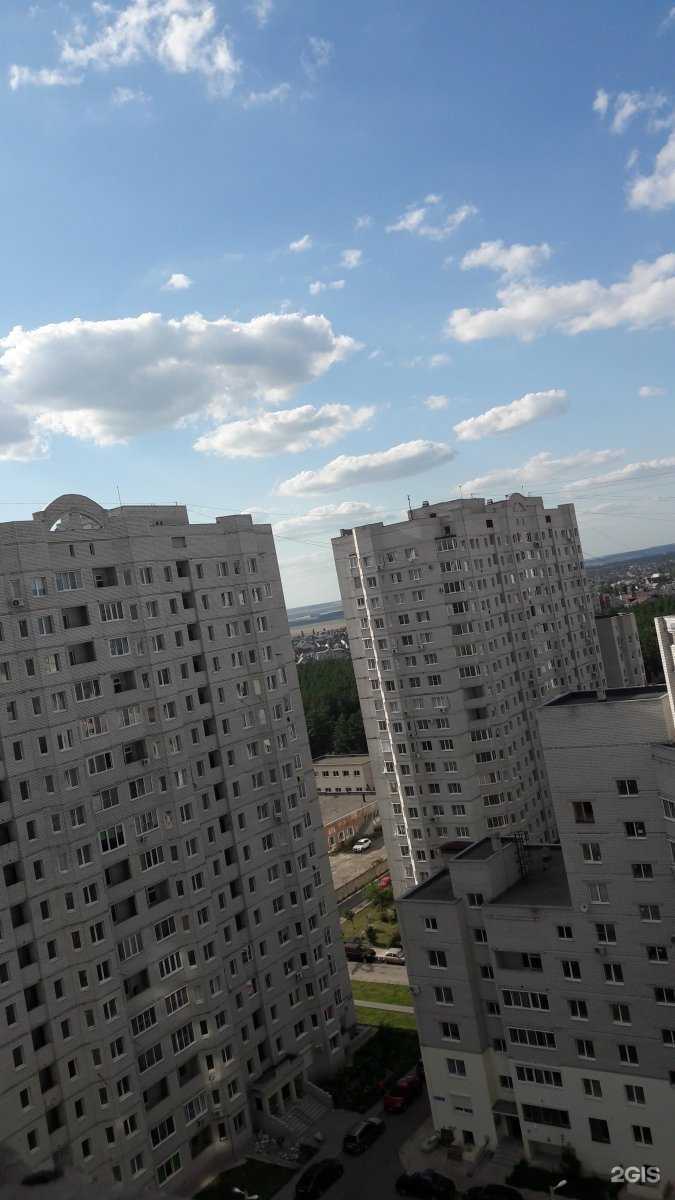 Отзывы на компанию Тензосила в Воронеже c фото - фотография 2 из 2