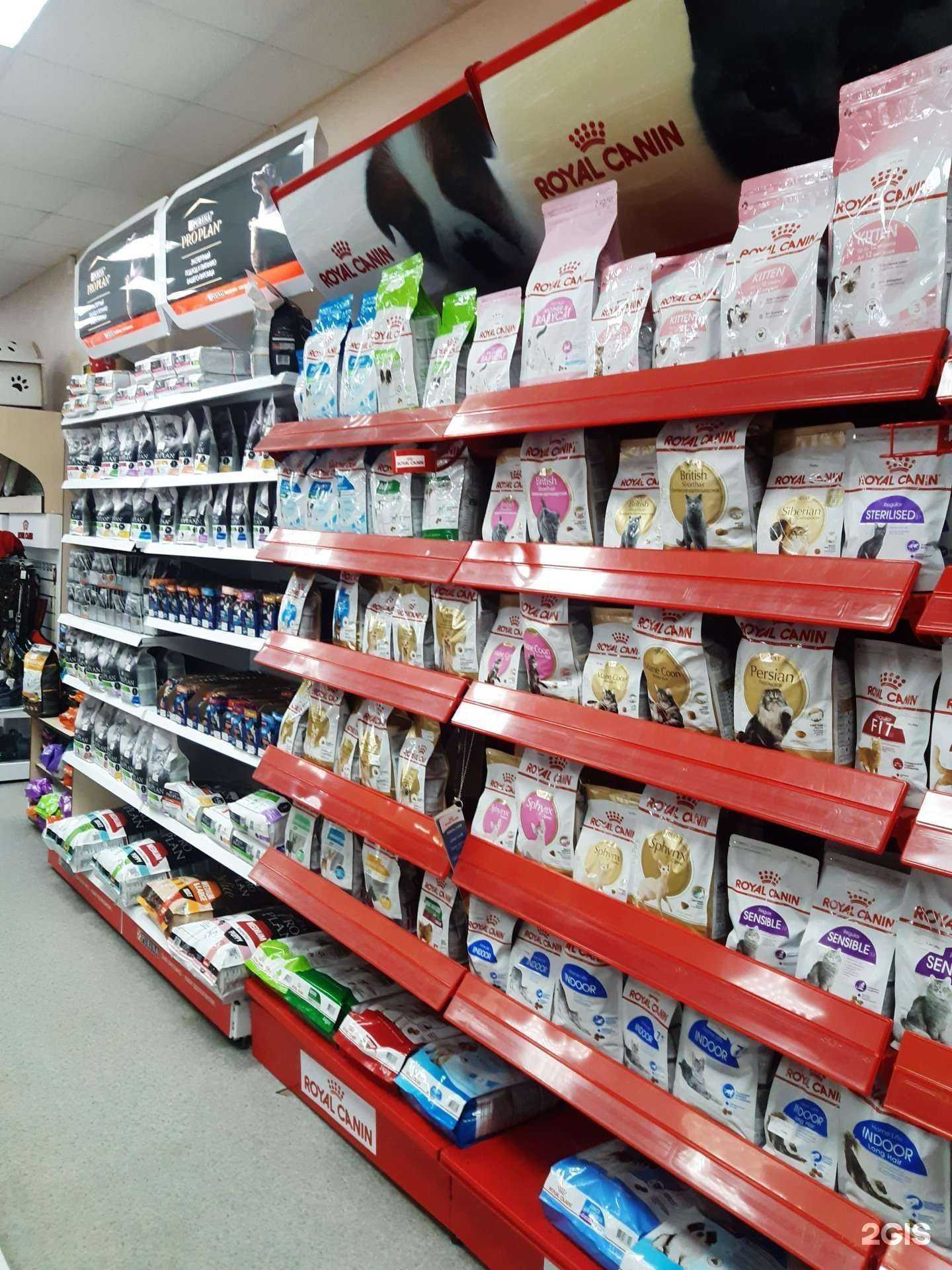 Отзывы на компанию Лео в Прокопьевске c фото