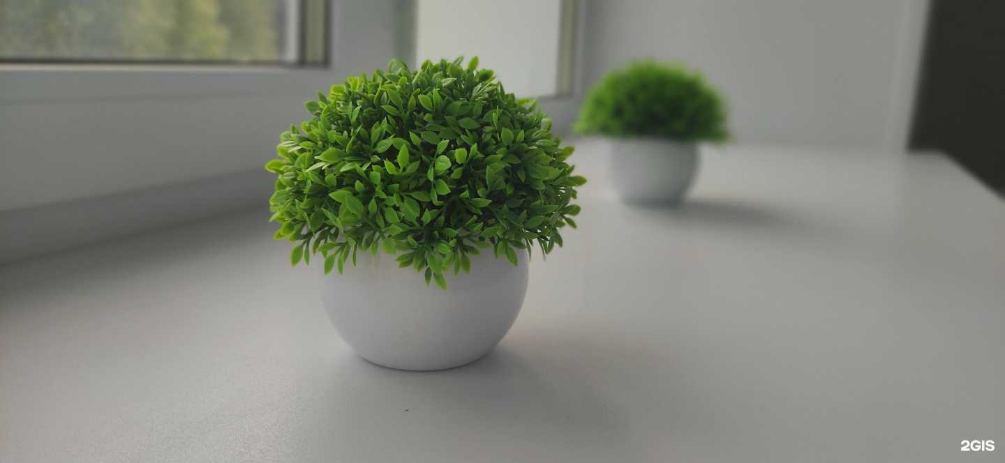 Отзывы на компанию ТелоЗнает в г. Нижневартовск c фото