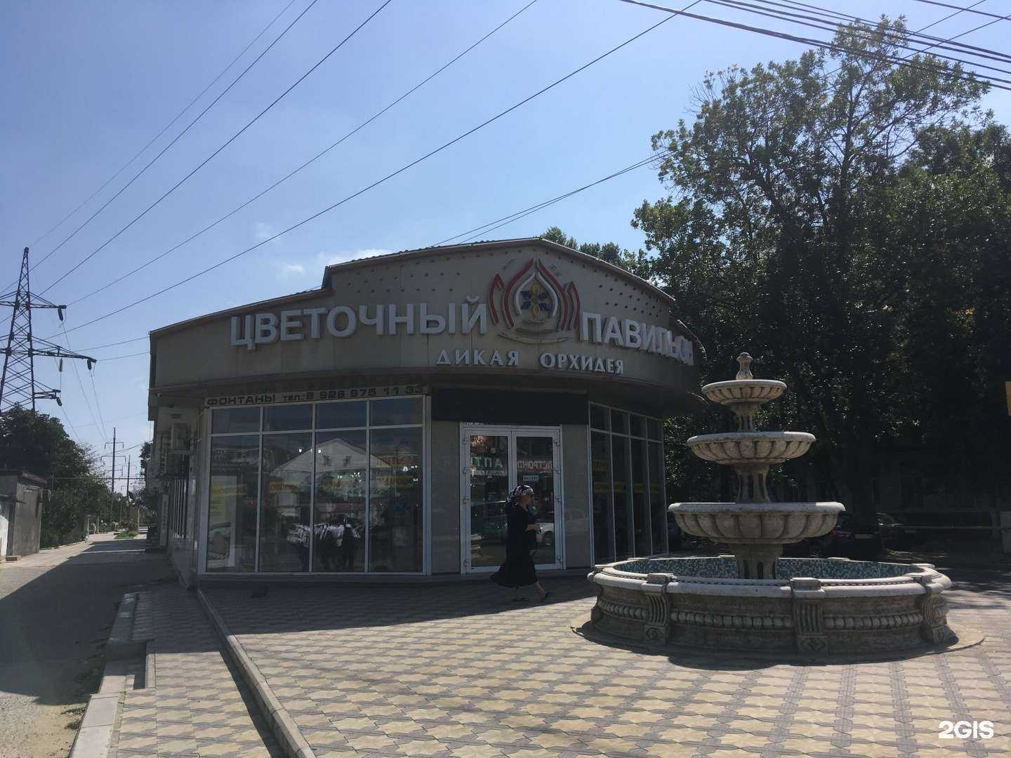 Отзывы на компанию Дикая Орхидея в Махачкале c фото - фотография 2 из 2