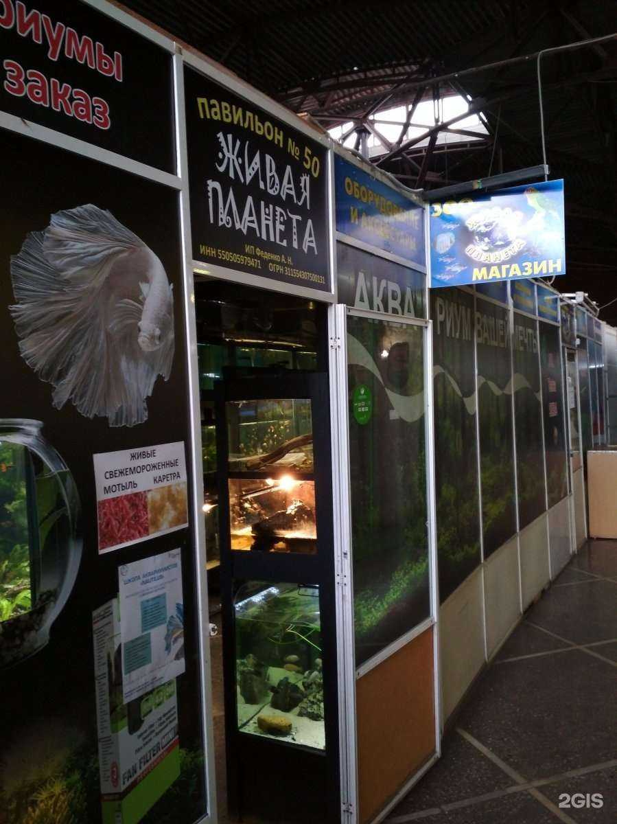 Отзывы на компанию Живая планета в Омске c фото