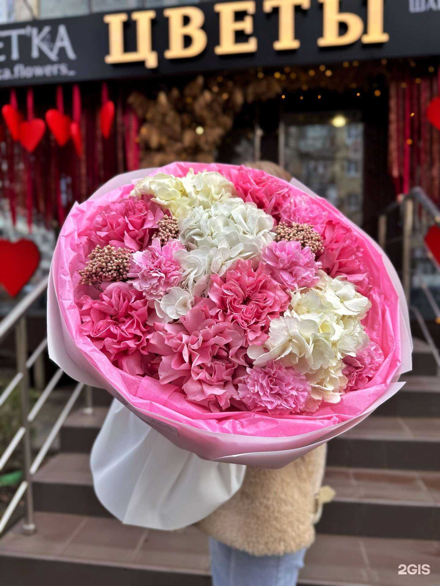 Отзывы на компанию Vetka в Краснодаре c фото