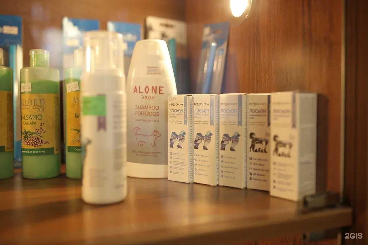 Отзывы на компанию ЦацаГрум в г. Альметьевск c фото