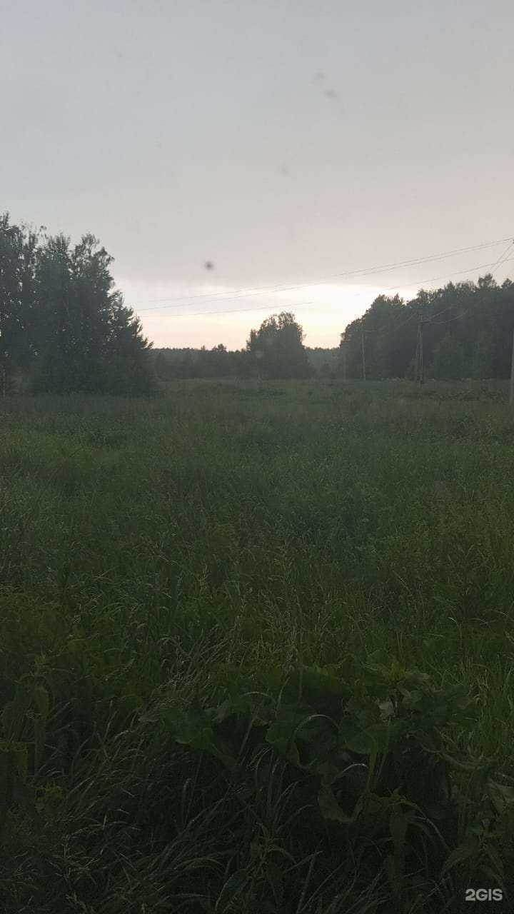 Отзывы на компанию Адвокат Власов С.Б. в Новосибирске c фото