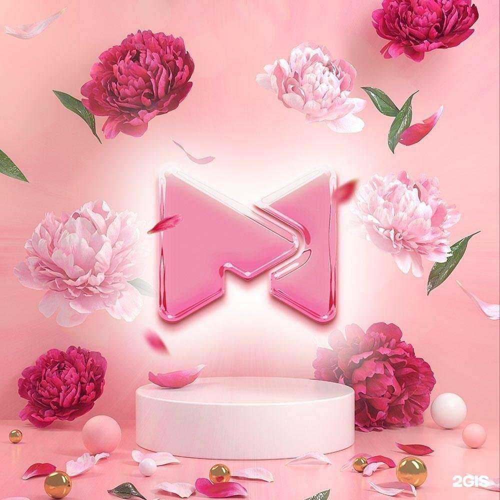 Отзывы на компанию Монитор в Майкопе c фото