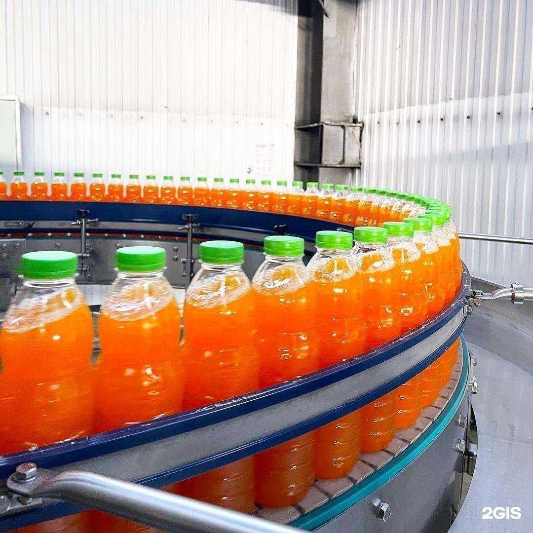 Отзывы на компанию Spring в Омске c фото