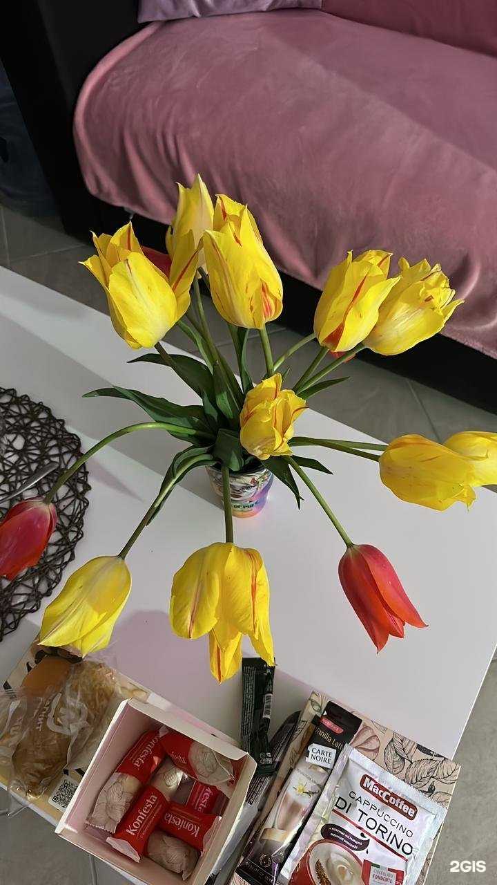 Отзывы на компанию Ничего лишнего в г. Краснодар c фото