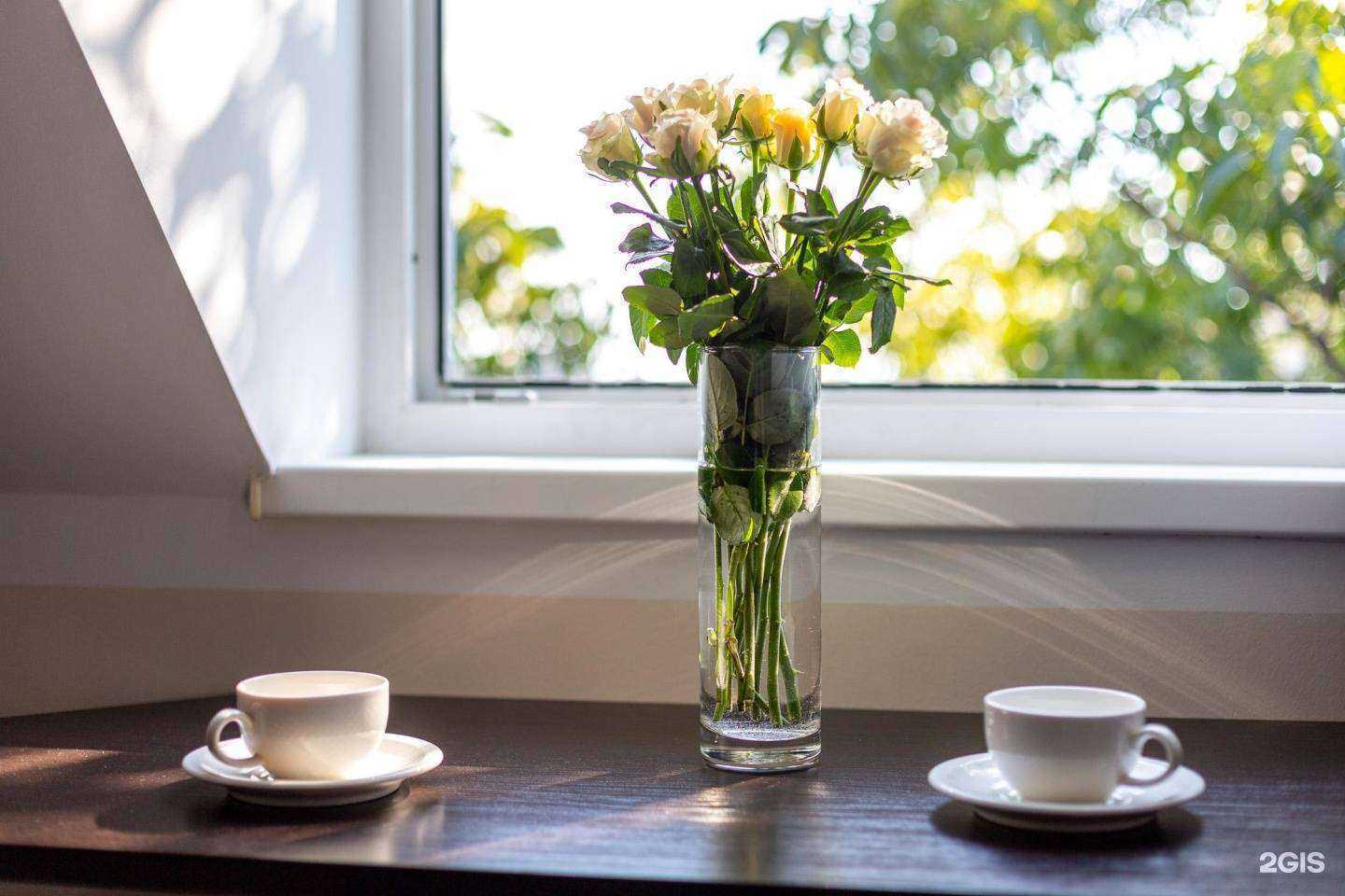 Отзывы на компанию San-Marino в Сочи c фото