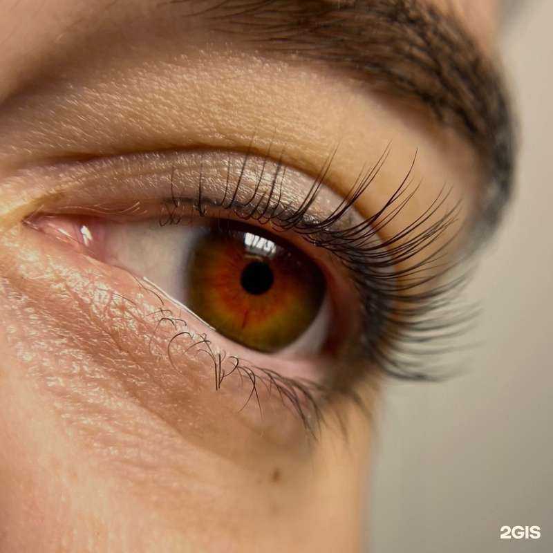 Отзывы на компанию Студия ламинирования в Йошкар-Оле c фото