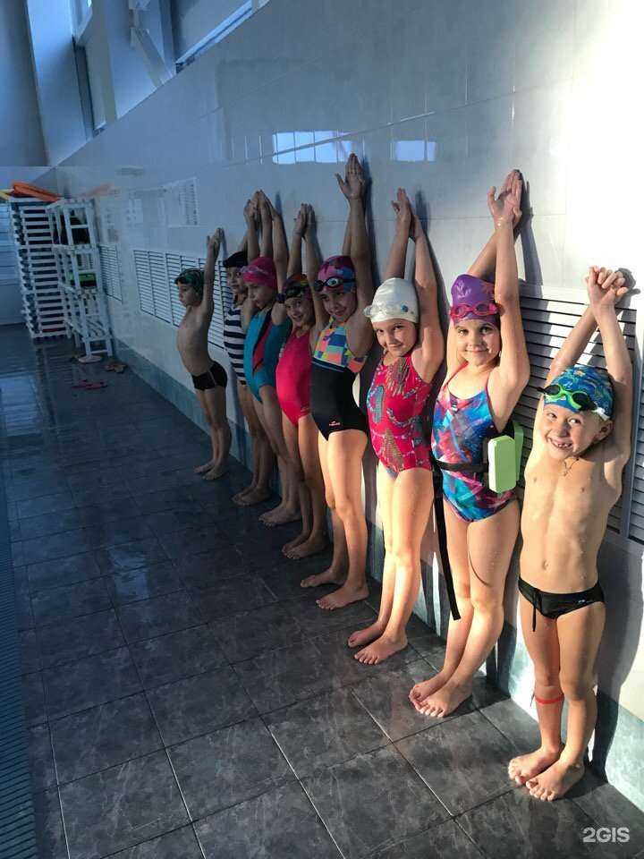 Отзывы на компанию Дельфин в Туле c фото