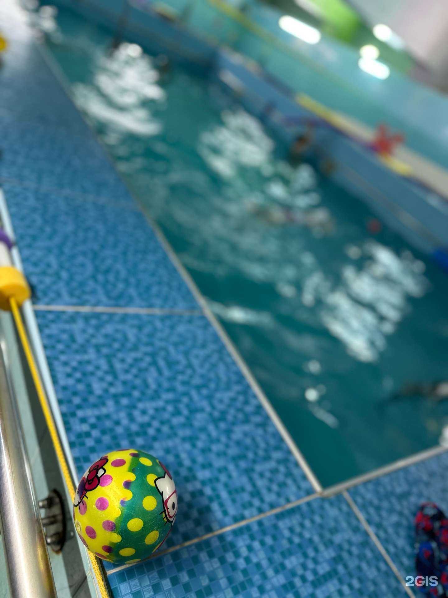 Отзывы на компанию Даминика в Махачкале c фото